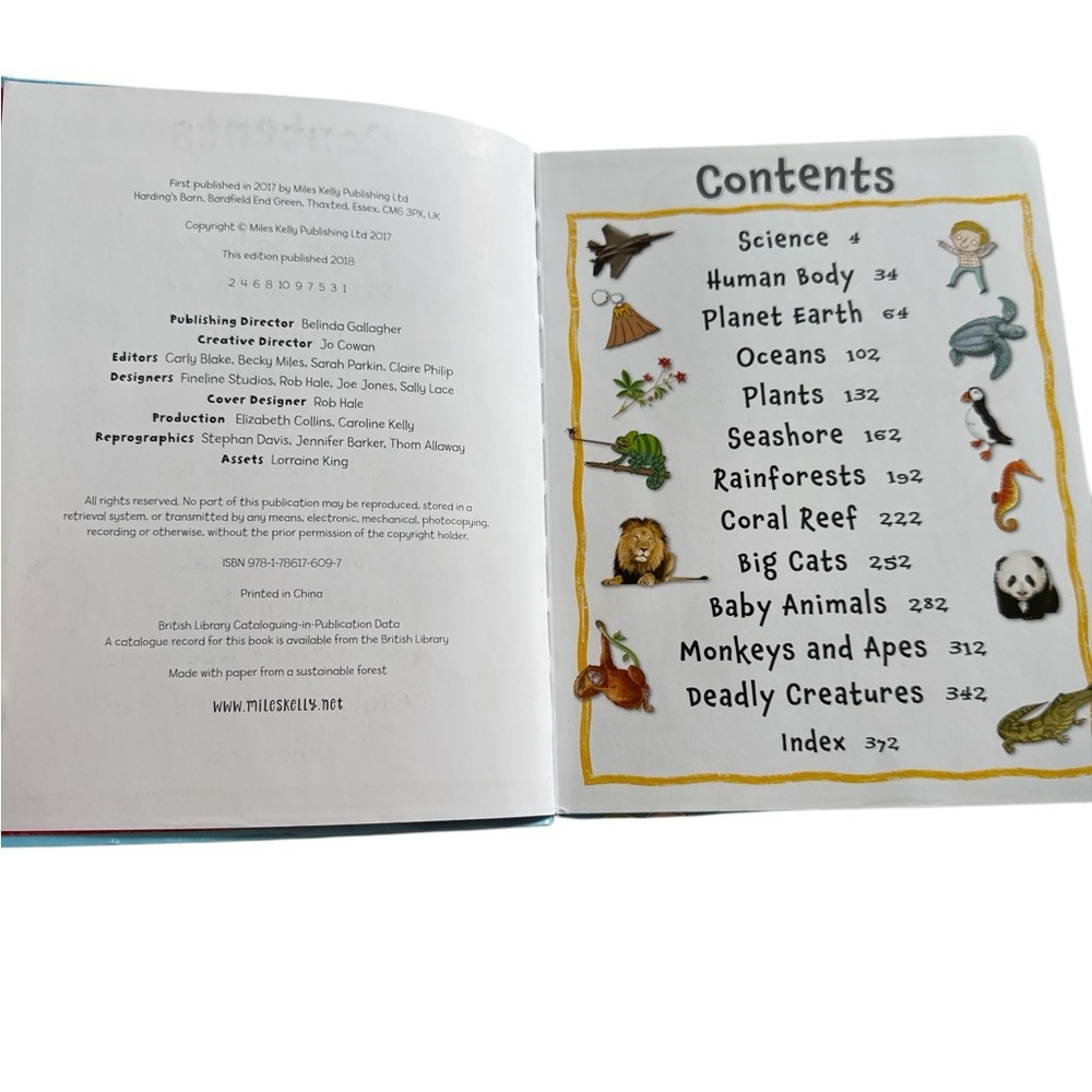 My Fun Book of Questions and Answers by Miles Kelly in EUC - Picture 2 of 4